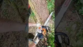 New angles