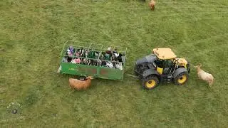 OPEN FARM SUNDAY AT SPRINGWATER FARM (Video, 08.06.25)
