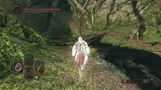 Dark Souls 2 - Forest of Fallen Giants and Cardinal Tower