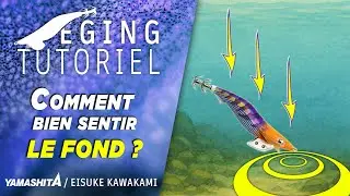 🪨✅ 🎣 La méthode infaillible pour détecter le fond en Eging 🦑