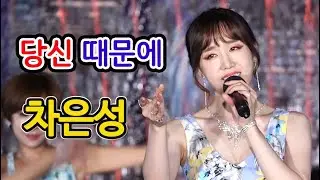 당신 때문에 - 차은성 [ 임수빈 ] / 가사有  #인기트로트 #트롯