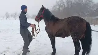 🚨 УВАГА РОБИМО РОЗІГРАШ 🐎💪🔔