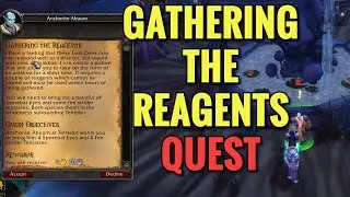Gathering The Reagents Quest (WoW TBC)