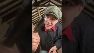 Turning A Bog Oak Handle For a Carvers Gauge #ireland #shortvideo #woodwork #handtools #chisel