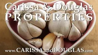 Moving to Connecticut? Check Out CT's Garlic & Harvest Festival   #CarissaAndDouglas