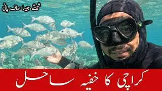 Freediving in Crystal Clear Water of Secrect Spot