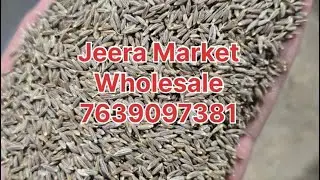 Unjha jeera market | jeera wholesale business tamil| Gujarat | Malayalam| cumin business unjha