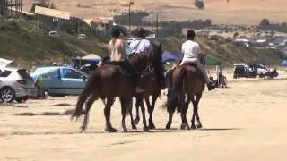 Aldinga Beach