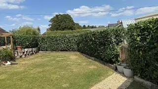 Perfect Laurel Hedge Cut &ndash; Crisp Lines & Clean Finish!