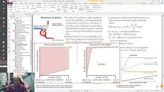 USMLE Live Stream -- First Aid 2020 -- Respiratory 7