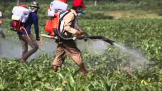 Organic Food Delivery Service