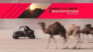 PANDA RALLY 2022, detras de las camaras.