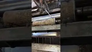 Cutting Sheets of Veener