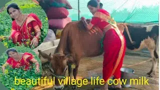 Live cow milking machine 🐄#Indian village girl cow video channel#funny cow milk 🥛
