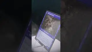 Abberant Researcher / Delver of Secrets | Halloween Card of the Day