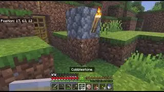 Survival Minecraft peaceful mining test