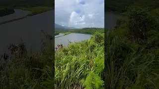 Alekoko - Menehune Fishpond - seen from Hulemalu Road on Kaua&rsquo;i #kauai #menehunefishpond