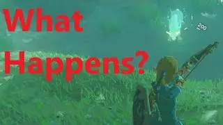 What happens when you kill the lord of the mountain? BotW