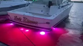 Grande LED Underwater Transom Lights in use on a boat in Texas