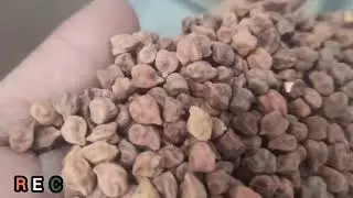 Call @ 09315101546 Best quality 4 TPH Seed processing Plant, Grain cleaning machine