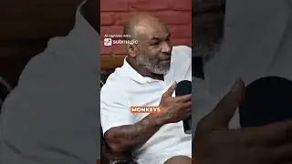 Mike Tyson on the majority of people #ytshorts #edit #video #fighter #ufc #khabib #mma #miketyson