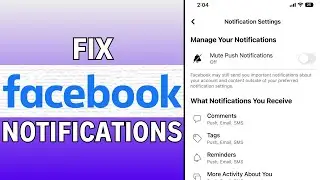 How To Fix Facebook Notifications If Not Working On iOS Devices (2024)