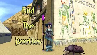 Updated Find the Beetles