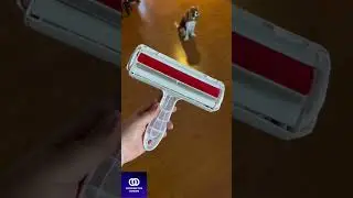 ChomChom Roller - Your Ultimate Pet Hair Remover! 🐕🐈#shorts #pethairremovaltool