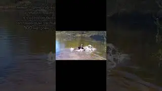 когда делать нечего