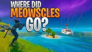 WHERE DID MEOWSCLES GO?!