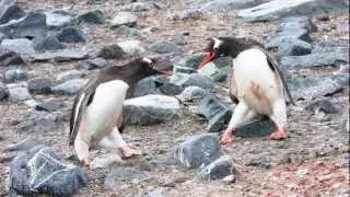Antarctica - Land of Spirituality