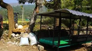 Hi-tech goat cage making Thrissur വയനാട് ജില്ലയിലേക്ക് ആട്ടിൻകൂടുമായി പോയപ്പോൾ