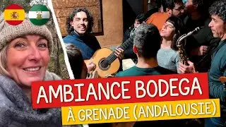 Andalousie en van aménagé 🚚: découvre GRENADE avec nous !
