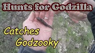 Fishing June Quest: Breaking the Life List Sleeper Hold