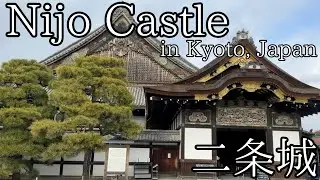 Visit Nijio Castle in Kyoto (二条城)  (Vietsub) (Khmersub)