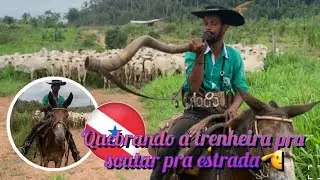 Começando os trabalhos 🫡