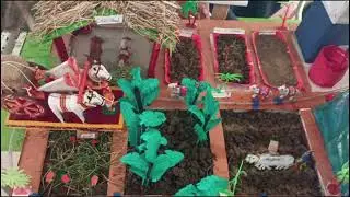 District level Science Competition ZPHS S I PARRU 