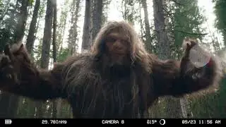 Love Alberta Forests - Berlin Communications