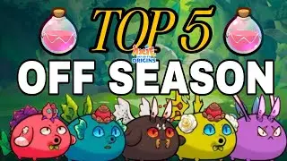 TOP 5 AXIE INFINITY ORIGIN LEADERBOARD 2025 OFF SEASON.THE BEST TEAM IN AXIE INFINITY ORIGIN 2025.