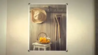 Amish Mike