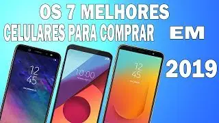 TOP 7 