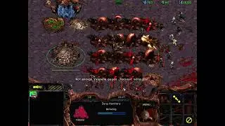 StarCraft 星海  2026 01 16  異形1V7隨機 不封門  流程示範
