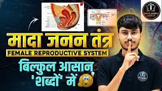 Female Reproductive System आसान भाषा में | मादा जनन तंत्र पूरी जानकारी | Nursing 2026