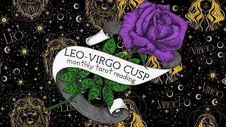 leo virgo cusp 𖧷 pisces season 𖧷 monthly tarot reading 𖧷 2026