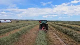 Hay Exports Rebound Only to Slip Again
