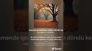 Nizami Gəncəvi— Bu çəməndə qocalıqdan belim döndü kamana — Reggae