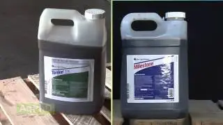 Weed of the Week #858 - Canada Thistle (Air Date 9/14/14)