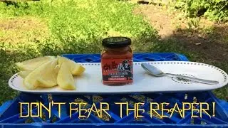 THE CHILLI FACTORY 'REAPER PASTE' CHALLENGE! - EXTREME EDITION