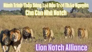 H&Agrave;NH TR&Igrave;NH PHỤC HƯNG CHA CON NH&Agrave; NOTCH T20 LI&Ecirc;N MINH SƯ TỬ NOTCH