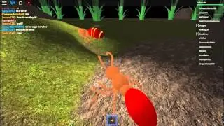 Ant Simulator! Part 1. Roblox